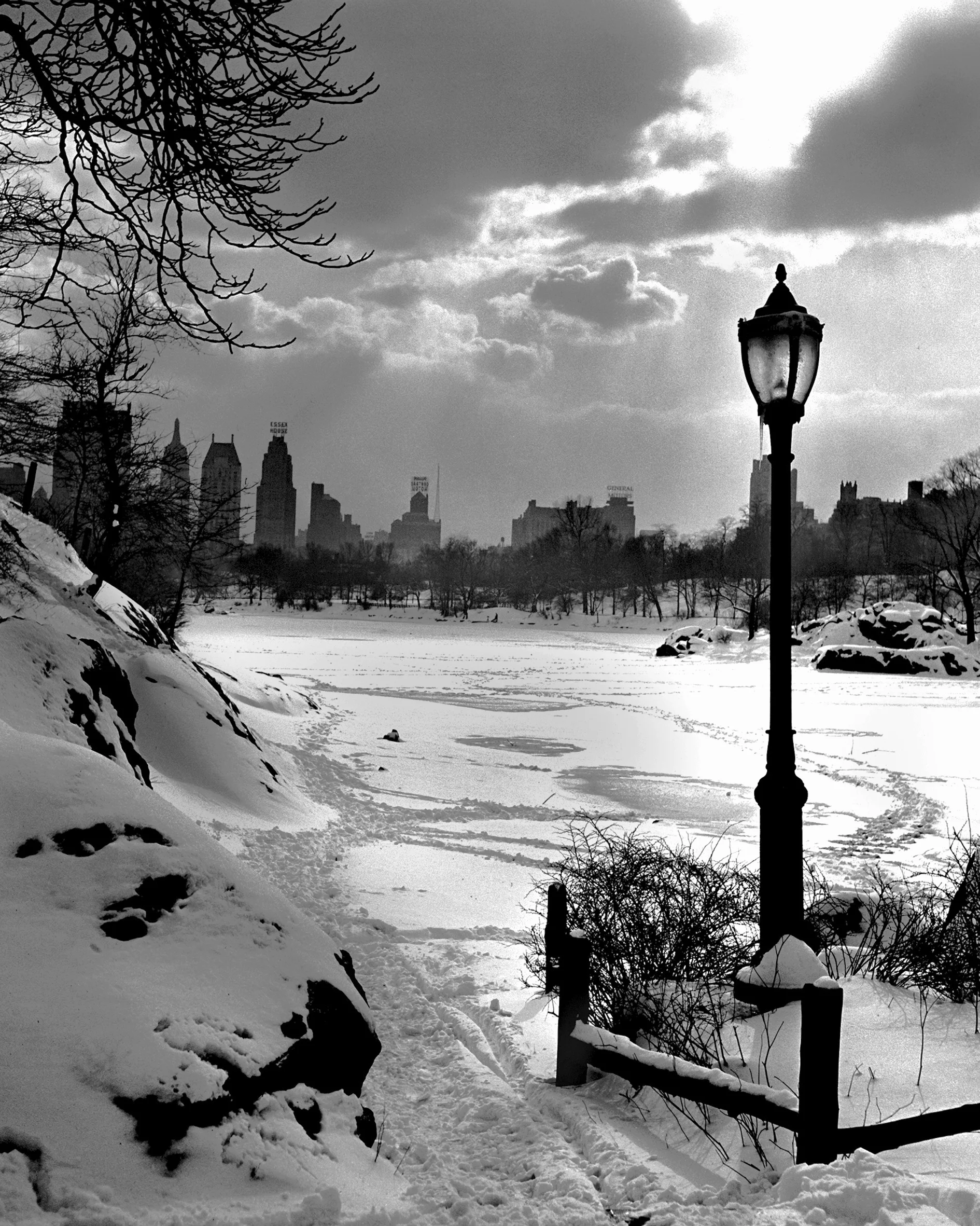 Portfolios — Fred Stein